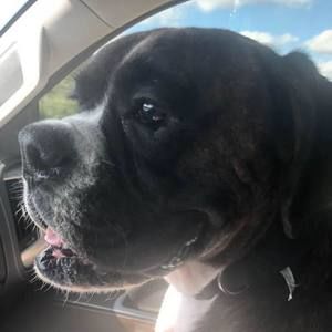 Meet your Posher, Christie